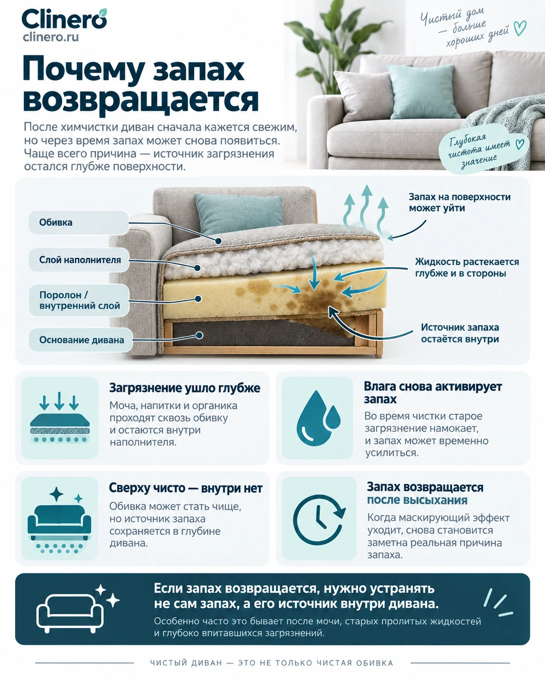 Почему запах возвращается после химчистки дивана